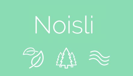 noisili-logo