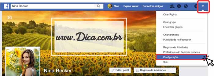 Facebook baixar