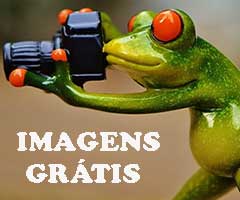 42 Banco de Imagens Grátis para Baixar Fotos [Alta Resolução]
